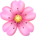 Bagaimana Cherry Blossom emoji terlihat di Apple.