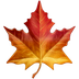 Bagaimana Maple Leaf emoji terlihat di Apple.