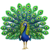 Bagaimana Peacock emoji terlihat di Apple.