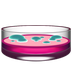 Bagaimana Petri Dish emoji terlihat di Apple.