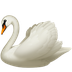 Bagaimana Swan emoji terlihat di Apple.