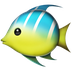 Bagaimana Tropical Fish emoji terlihat di Apple.