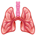 Bagaimana Lungs emoji terlihat di Emojipedia.