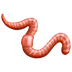 How Worm emoji looks on Emojipedia.