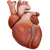 Bagaimana Anatomical Heart emoji terlihat di Facebook.