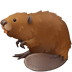 Bagaimana Beaver emoji terlihat di Facebook.