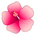 Cómo se ve el emoji Flor de hibisco en Google.