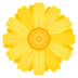 Wie Gelbe Blüte Emoji auf Joypixels aussieht.