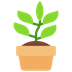 Bagaimana Potted Plant emoji terlihat di Microsoft.