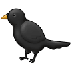 A quoi ressemblent les emoji Oiseau noir sur Samsung.