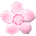 Bagaimana Cherry Blossom emoji terlihat di Samsung.