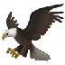 Bagaimana Eagle emoji terlihat di Samsung.