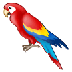 Bagaimana Parrot emoji terlihat di Samsung.