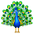 Bagaimana Peacock emoji terlihat di Samsung.