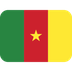 How Flag: Cameroon emoji looks on Twitter.