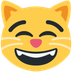 How Grinning Cat with Smiling Eyes emoji looks on Twitter.