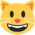 Wie Grinsende Katze Emoji auf Twitter aussieht.