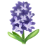 Bagaimana Hyacinth emoji terlihat di Whatsapp.