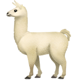 Bagaimana Llama emoji terlihat di Apple.