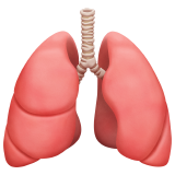 How Lungs emoji looks on Apple.