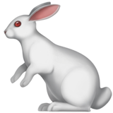 How Rabbit emoji looks on Apple.