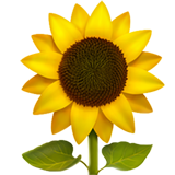 How Sunflower emoji looks on Apple.