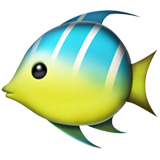 Bagaimana Ikan tropis emoji terlihat di Apple.