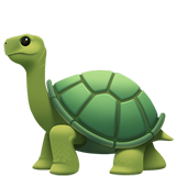 How Turtle emoji looks on Apple.