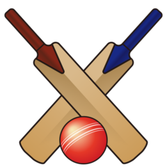 How Cricket Game emoji looks on Emojidex.