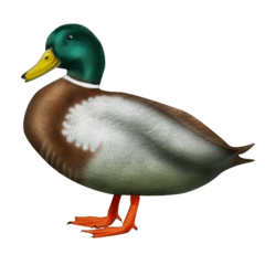 How Duck emoji looks on Emojipedia.