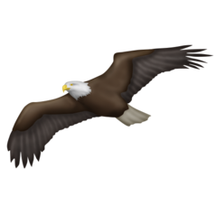 Bagaimana Eagle emoji terlihat di Emojipedia.