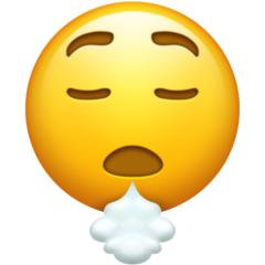 Wat betekent deze emoji