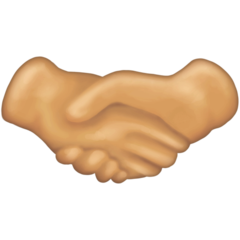 📣 🤝 Handshake Emoji With 25 Skin Tone Options Will Appear On