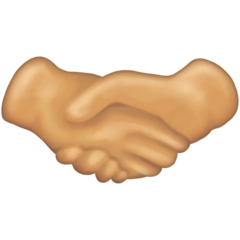 📣 🤝 Handshake Emoji With 25 Skin Tone Options Will Appear On