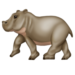 A quoi ressemblent les emoji Hippopotame sur Emojipedia.