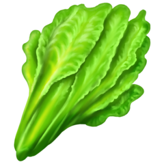 Bagaimana Leafy Green emoji terlihat di Emojipedia.