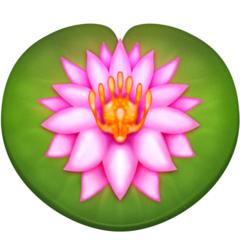 Hoe Lotus emoji eruit ziet op Emojipedia.