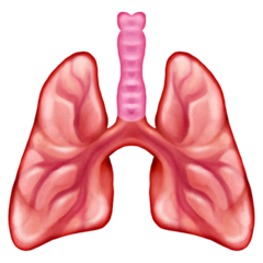 How Lungs emoji looks on Emojipedia.