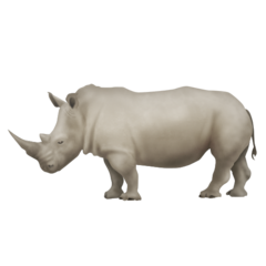 How Rhinoceros emoji looks on Emojipedia.