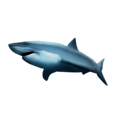 Bagaimana Shark emoji terlihat di Emojipedia.