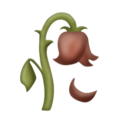 Bagaimana Wilted Flower emoji terlihat di Emojipedia.