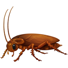 How Cockroach emoji looks on Facebook.