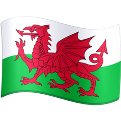 Flag Wales Emoji 