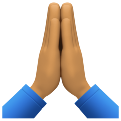 Folded Hands: Medium Skin Tone Emoji 🙏🏽