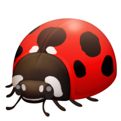 How Lady Beetle emoji looks on Facebook.