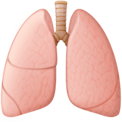 How Lungs emoji looks on Facebook.