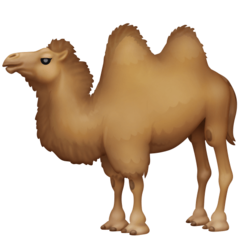 Как выглядит эмодзи Двугорбый верблюд в Facebook. 