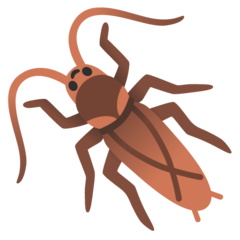 How Cockroach emoji looks on Google.