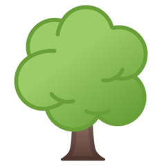 How Deciduous Tree emoji looks on Google.