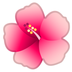 Hvordan Hibiscus emoji ser ud på Google.